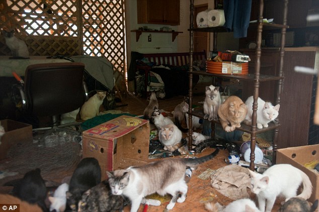 Hoarder Firefighting - Chamber of Hoarders Online Blog - Cats killed in  Hoarding Fire