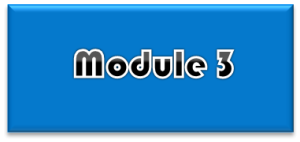 Module 3