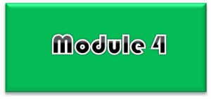 Module 4