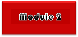module 2